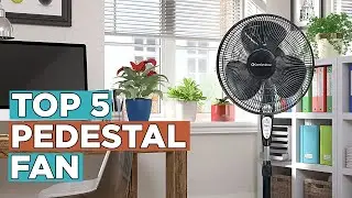 Top 5 Best Pedestal Fan 2022