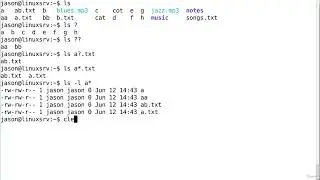 Linux Wildcards - Part Two