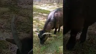 Puta dhe Dhia ndryshe