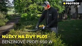 Nůžky na živý plot benzínové PROFI 650 W - provoz | PROTECO nářadí s.r.o.