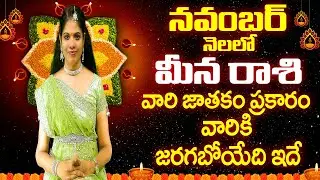 నవంబర్ 2024 మీన రాశి ఫలితాలు|#November Meena Rasi Phalalu ,#Meena Rasi Phalalu November 2024,Rajasud