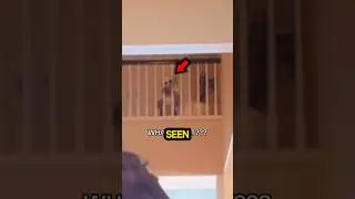 It Was Watching Them.. 