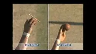 Shane Warne bowling analysis