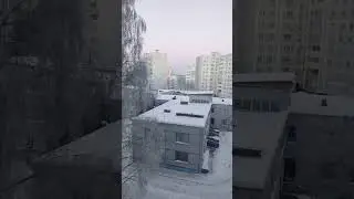 У нас стужа, мерзнут птицы#стужа#мороз