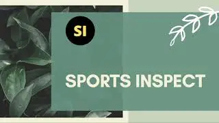 INTRODUCTION TO SPORTSINSPECT