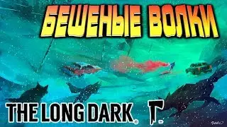 The Long Dark story mod ➤➤➤ БЕШЕНЫЕ ВОЛКИ