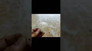 How to Make A Decoration Light at Home #viral #shorts #ytshorts #diy
