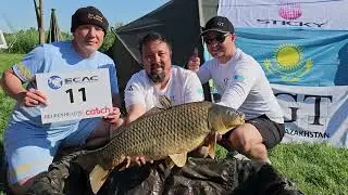 European Carp Angling Championship. Этот дружище принес нашей команде 3 место!