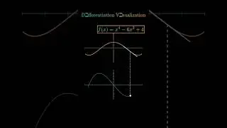 Differentiation Visualization #animation
