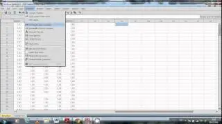 Reverse Coding and Data Entry of Negative Expressions with SPSS