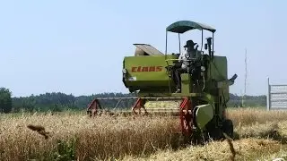 Мини Комбайн для Уборки Пшеницы | Small Harvester Wheat Home