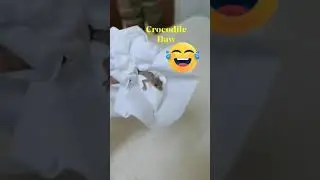 Mga amo kong arabo takot sa butiki Crocodile daw #Funny video😂😂#Short