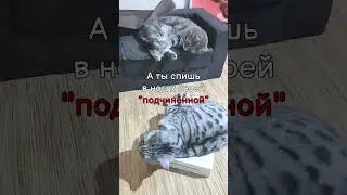 Её Величество!!?