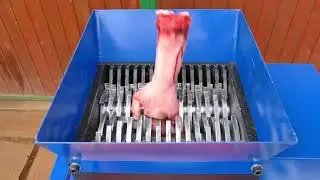 Hand vs Shreder
