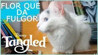 FLOR QUE DA FULGOR - ENREDADOS | Melo 💖