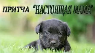 ПРИТЧА"НАСТОЯЩАЯ МАМА"/THE PARABLE"A REAL MOM"
