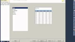 SQL Server report wizard