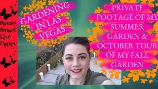 Shocking Urban Garden Success Update!