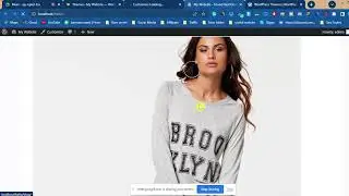 Website Design Class 6 | Customizer , Plugin install , Comments , Setting