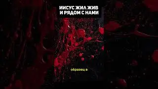Иисус жил жив и рядом с нами