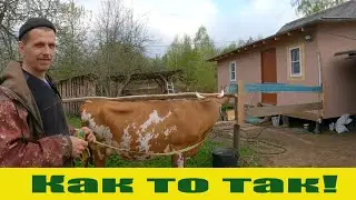 То, да се и день прошел! Деревенские будни мая! Жизнь в деревне.