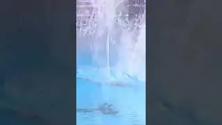 Best Diving Fail Compilation - AI Enhanced Video #shorts #olympics #diving