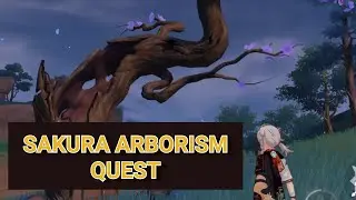 Sakura Arborism - World Quest Genshin Impact