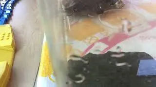暇な時と運動中の違い