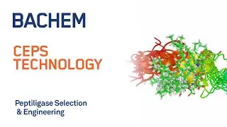 CEPS Technology - Peptiligase Selection & Engineering