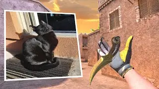 ВЕСЕННИЙ ВАЙБ | STANDOFF 2