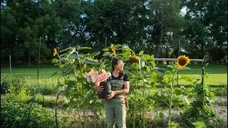 A personal update & what it means for me flower farming