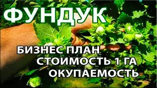 Ореховый сад как бизнес идея: C  чего начать и первые шаги!!!