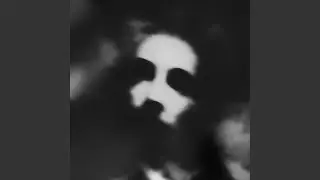 Salvo