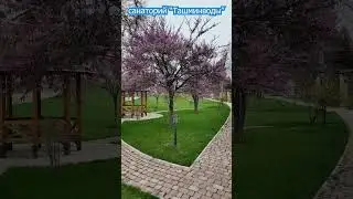 Санаторий _Курорт "ТашМинводы" Были уже 6 раз и будем приезжать всегда