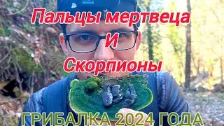 Пальцы мертвеца / Скорпионы / Грибалка 2024