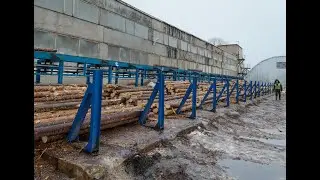 Сортировка бревна леса. Линия сортировки бревен |Аркон| arkon43.ru