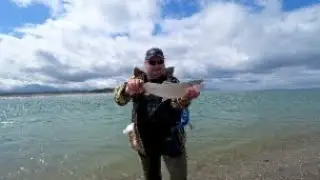 Клюет кунджа на первом забросе! Я не ожидал...