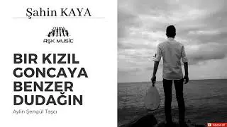 Bir Kızıl Goncaya Benzer Dudağın - Şahin Kaya - Aylin Şengül Taşcı
