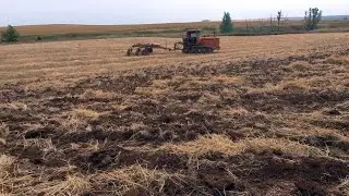 Положение дел хозяйства 02.09.2021. Обо всём, по немногу.