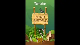 Evolution Causes Some Animals To Go Blind