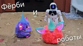 Польский и английский фёрби общаются с роботами