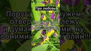 Поругалась с мужем #психология #факты
