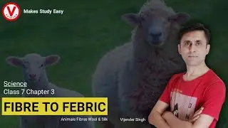 Fiber to Fabric | Class 7 | Chapter 3 | Science | NCERT | #VShiksha