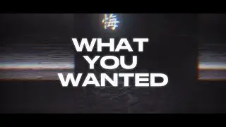 SOMX1NE X LIVINGSTON CRAIN - WHAT YOU WANTED(LYRIC VIDEO)