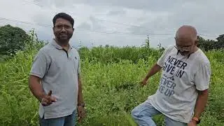 Regenerative Farming हा माती वाचवायचा शेवटचा मार्ग. जागे व्हा, माती वाचवा  #SaveSoil