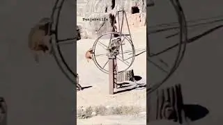 ‪@punjabville‬
