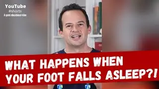 What happens when your foot falls asleep? 