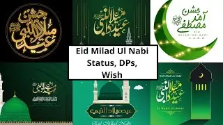 12 Rabi ul Awal dp || New 2022 Eid Milad ul Nabi Status || Rabi ul Awal Mubarak status