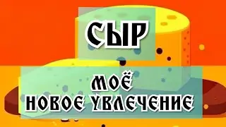 Сыр - моё новое увлечение. Экономим и ускоряем процесс без ущерба качеству