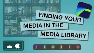 Finding Your Media in the Media Library